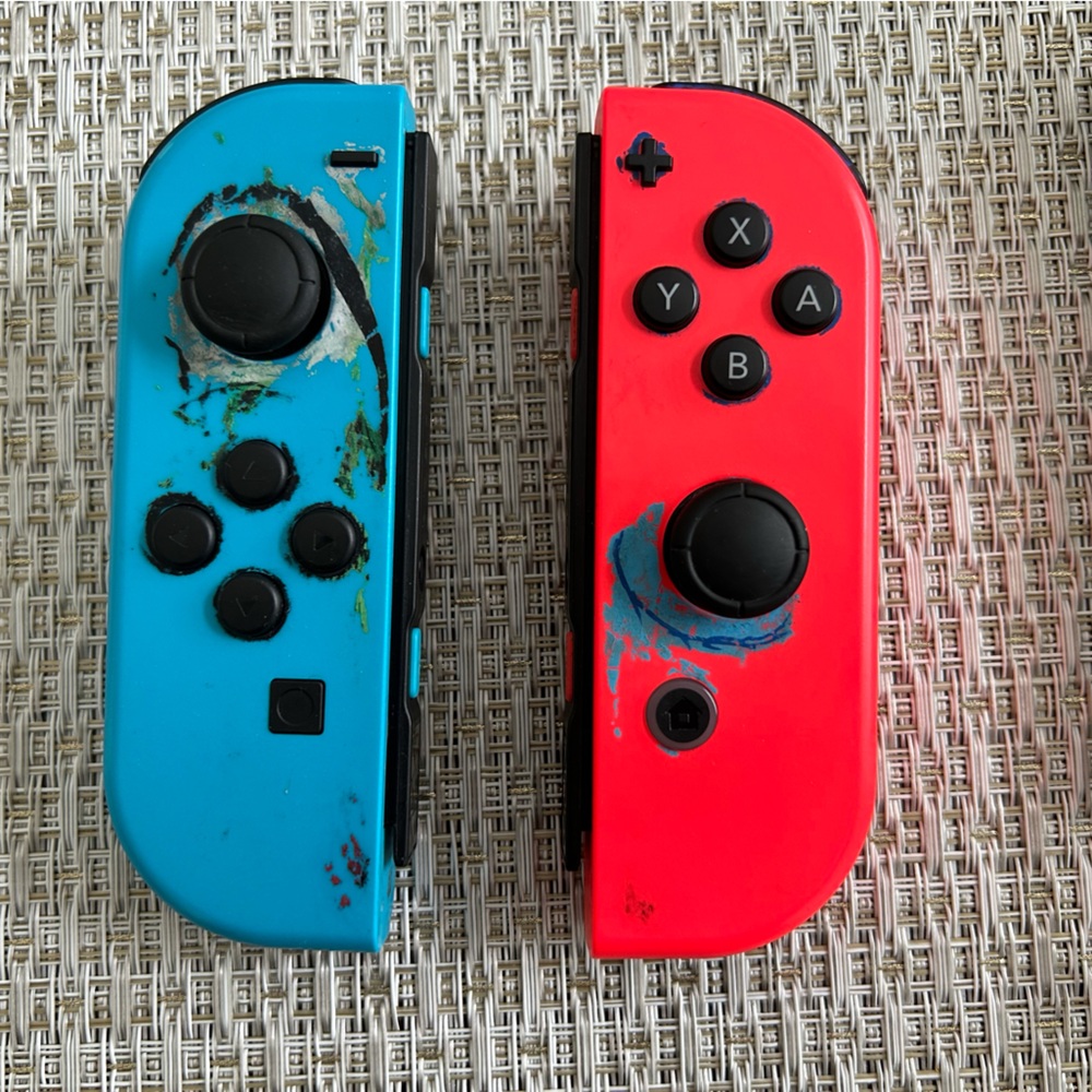 Nintendo Switch Controllers